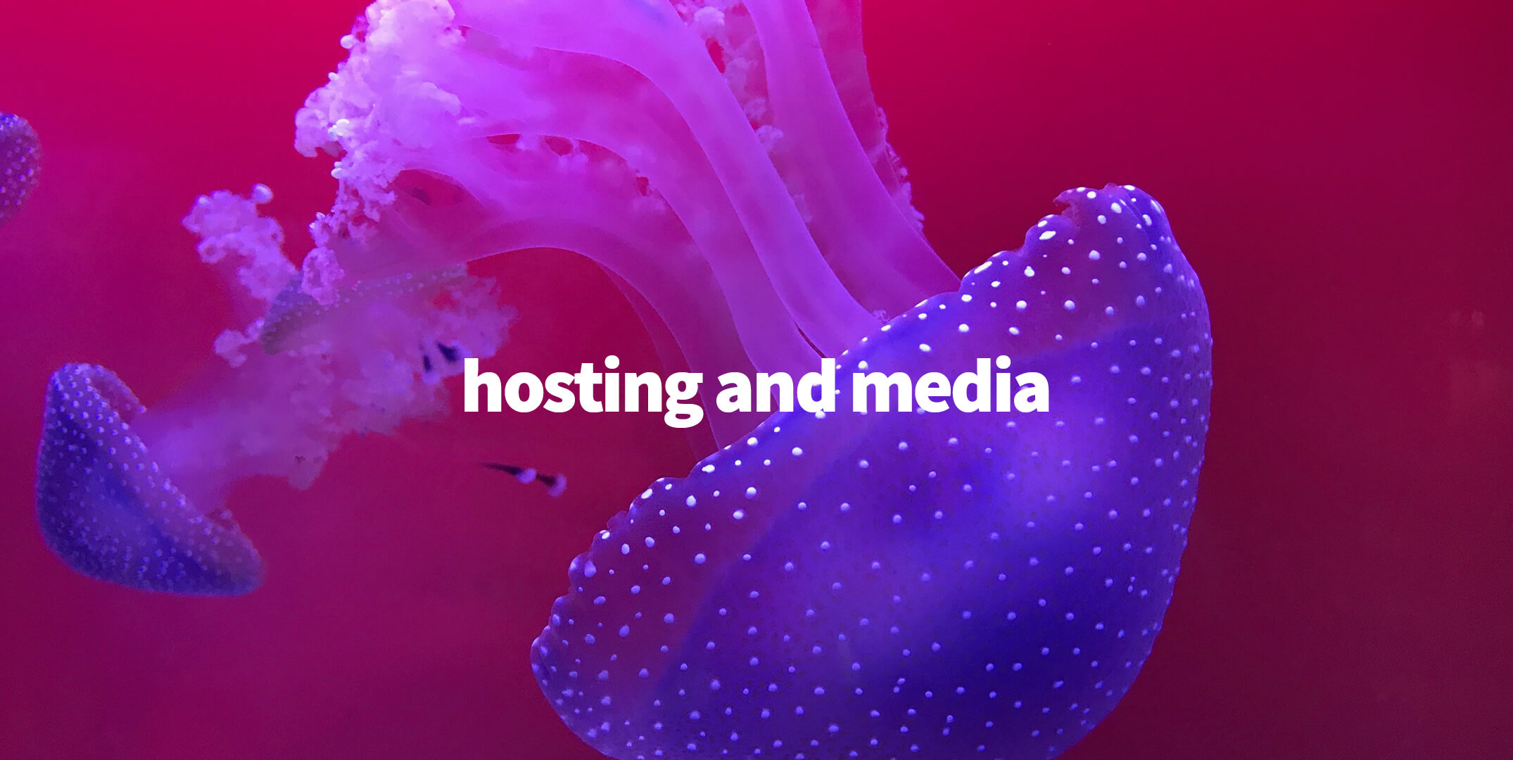 Hosting Media - Industrie Media